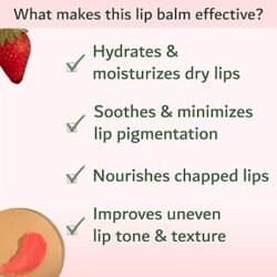 1cb8fb206e53f988bfa6d93c493e25b5.jpg Bioway byd Strawberry Lip Balm for Soft & Pink Lips Rehydrates Dry & Cracked lips 10g