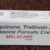 Indian MELACARE 25g  sunscreen CREAM  Mela