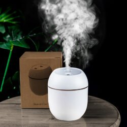 Portable Mini Humidifier (pmh) Car Home USB LED Lamp Aroma Nano Diffuser Mist Purifier 250ml