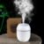 Portable Mini Humidifier (pmh) Car Home USB LED Lamp Aroma Nano Diffuser Mist Purifier 250ml