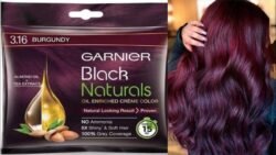 GARNIER Hair Colouring Creme, gar0 100% Grey Coverage, Black Naturals, 3.16 Natural Burgundy, 20g + 20ml
