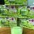 Apple DRINKING Natural Fruit SLIMMING Powder IDOL 10dp Slim Drink Weight Diet Block Burn Fat Radiant Skin 10 Sachets THAILAND