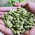 NGC High Grade Natural Fresh Green Cardamom Elam (එනසාල්, cardamon ஏலக்காய்)