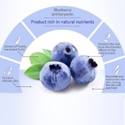 a16d3f8229d7c0820d8f4ed6b6f8e4fe.jpg BIOAQUA Blueberry Hyaluronic Serum Acid Moisturizing Anti-Wrinkle Oil-Control Essence Face Skin Care 15Ml (Bbhs)