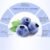 a16d3f8229d7c0820d8f4ed6b6f8e4fe.jpg BIOAQUA Blueberry Hyaluronic Serum Acid Moisturizing Anti-Wrinkle Oil-Control Essence Face Skin Care 15Ml (Bbhs)