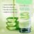 Banjara's olm Aloe Vera Face Wash that Cleanses and Hydrates Your Skin | Suitable for All Skin Types - 100ml