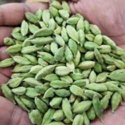 NGC High Grade Natural Fresh Green Cardamom Elam (එනසාල්, cardamon ஏலக்காய்)