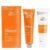 WELLA Professionals wnsc Creatine Straight (N) for Normal to Resistant Hair Straightening CREAM and Neutralizer Single Application Kit 200 ml