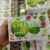 Apple DRINKING Natural Fruit SLIMMING Powder IDOL 10dp Slim Drink Weight Diet Block Burn Fat Radiant Skin 10 Sachets THAILAND