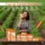 Aichun Beauty Carrot Facial Serum, Collagen + Vitamin E Anti Oxidation All Types of Skin 30ml carr