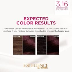 L'Oréal Paris Permanent Hair Colour Excellence Crème, 3.16 Burgundy  (Code l3dg ) LOREAL